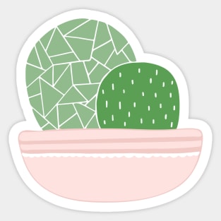 Succulent illustrationtion Sticker